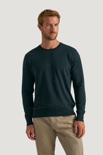 KNT135W25_Spruce_3|9881906a9bce4b8fca8f5e58a2366b70