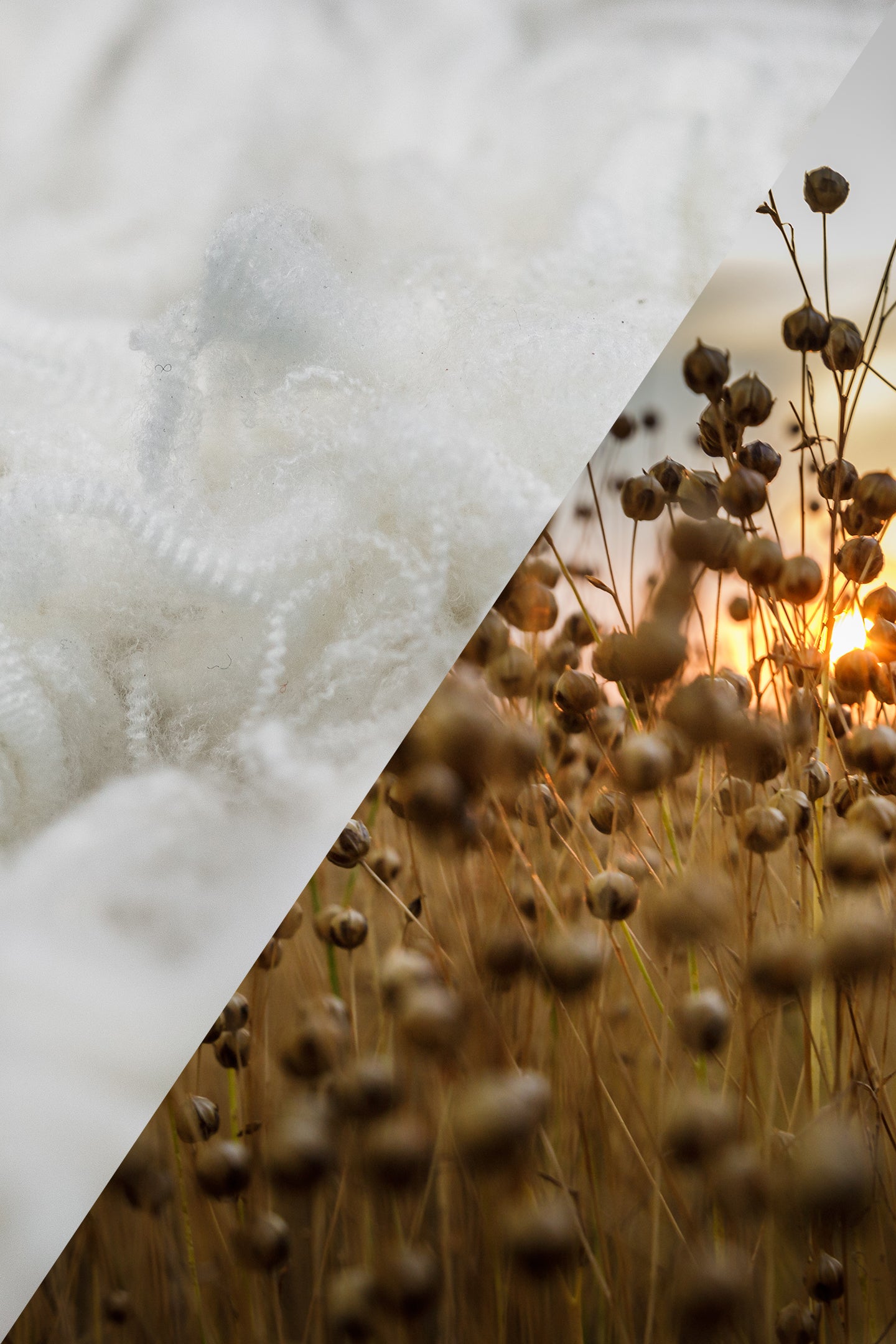 Flynn Jacket – M.J. Bale